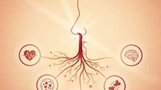 别只顾着塞纸！哪种流鼻血需要警惕？左鼻孔出血警惕四种原因 - 健康养生封面图