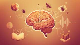 恐怖虫话语体系解析：基于多源信息的综合观察 - 生活百科封面图